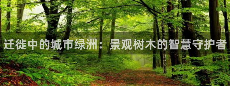 新宝gg如何赚钱