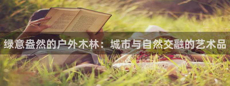 新宝gg娱乐平台