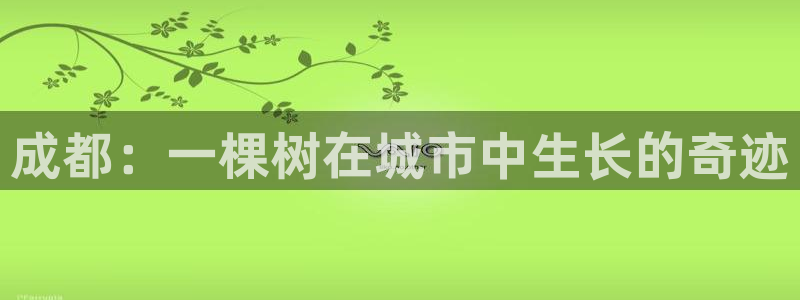 新宝gg用哪个浏览器