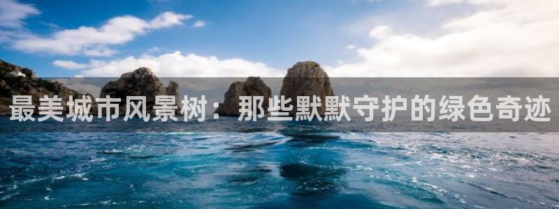 新宝新宝gg开户流程