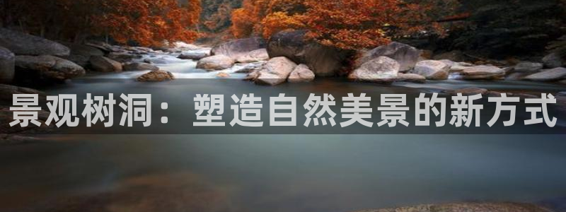 新宝gg客服电话