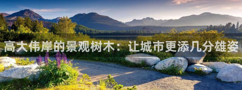 新宝gg创造奇迹登陆