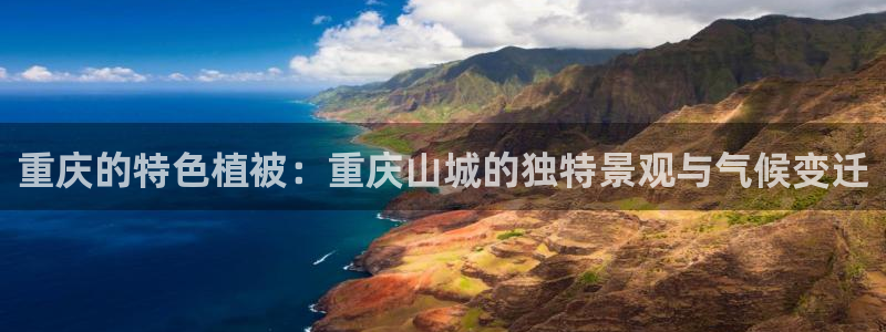 新宝gg和新宝123