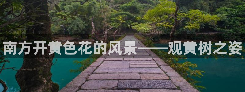 新宝gg平台连接