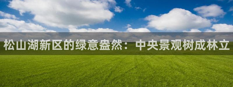 新宝gg网投