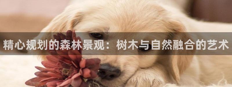 新宝gg-创业奇迹
