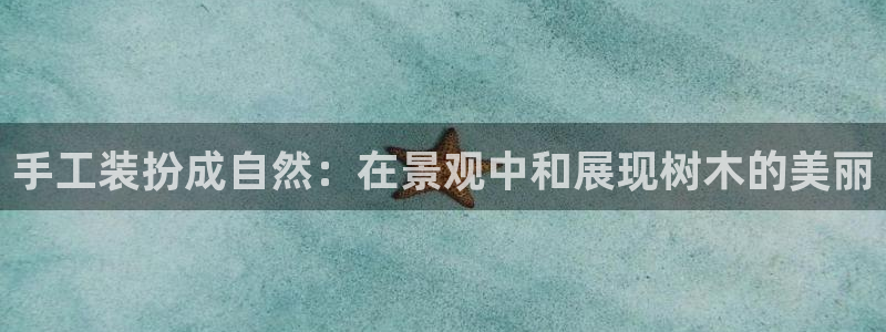 新宝gg好吗