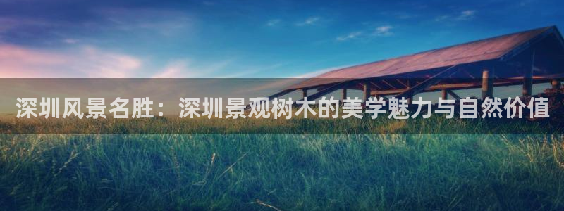 新宝gg平台连接