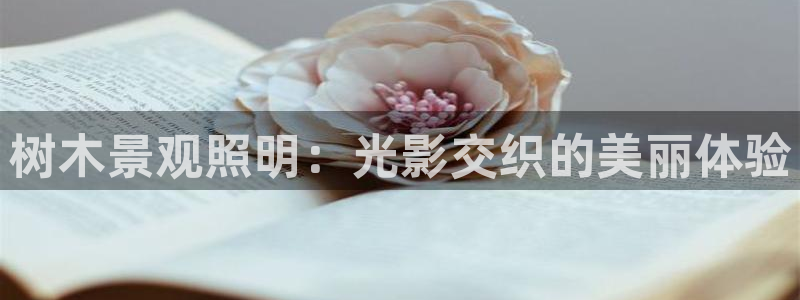 新宝gg娱乐vovq