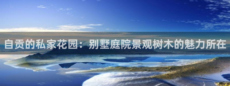 新宝gg样