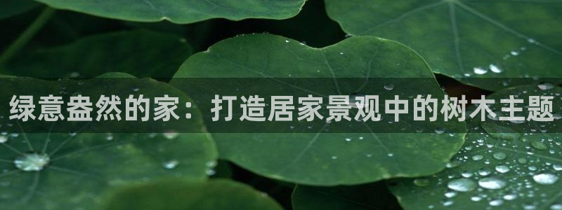 新宝gg测试