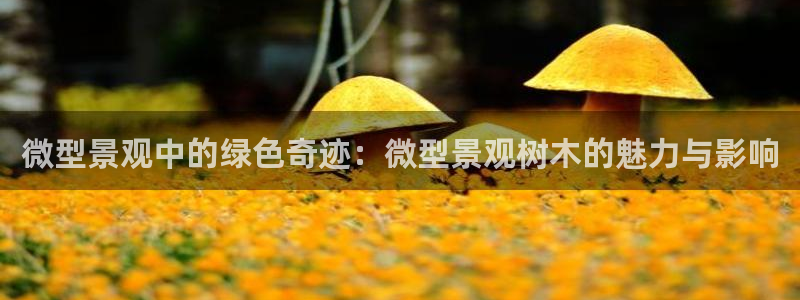 新宝gg套利