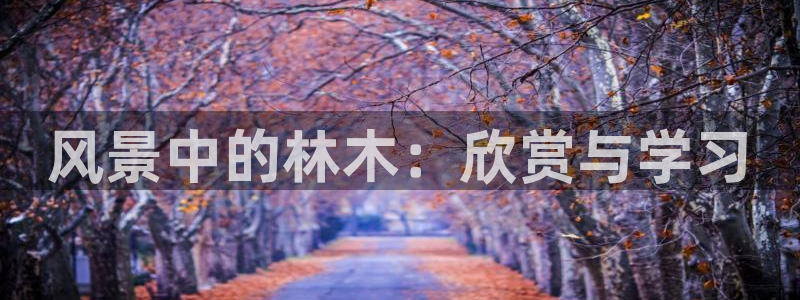 新宝gg娱乐首页