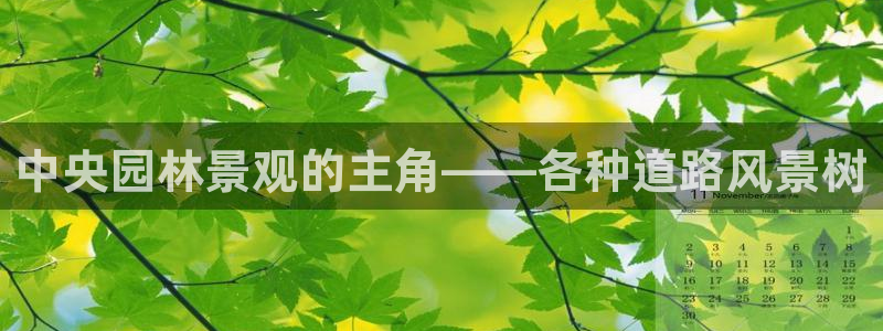 新宝gg娱乐