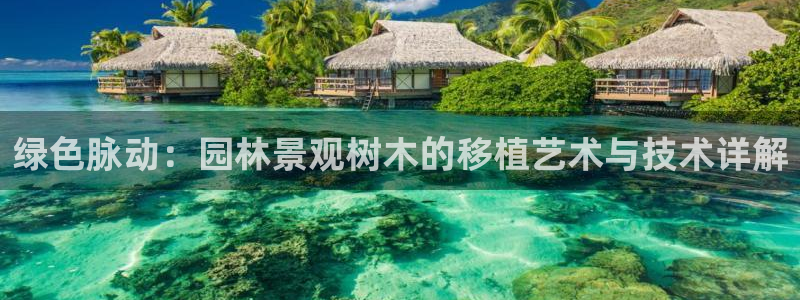 新宝gg-创业奇迹