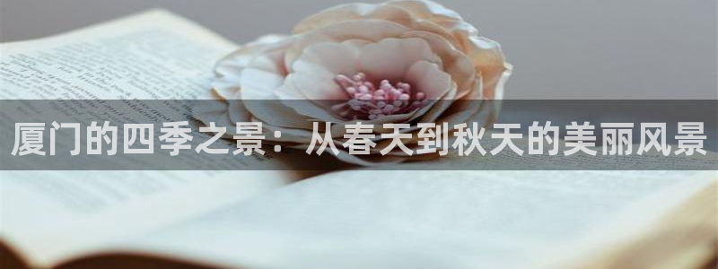 新宝gg如何做到总代理