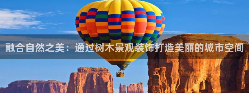 新宝gg指定平台