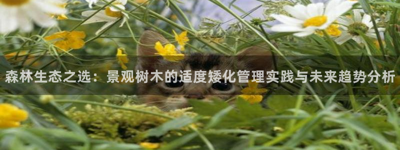 gg新宝时时彩