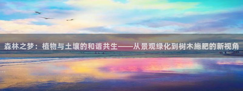 新宝GG专业团队