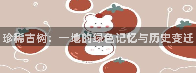 新宝gg手机版下载