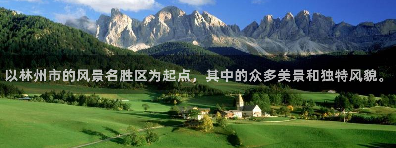 新宝GG专业团队