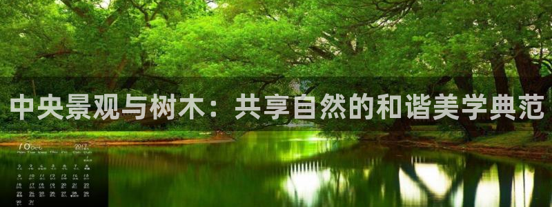 新宝gg怎么开户