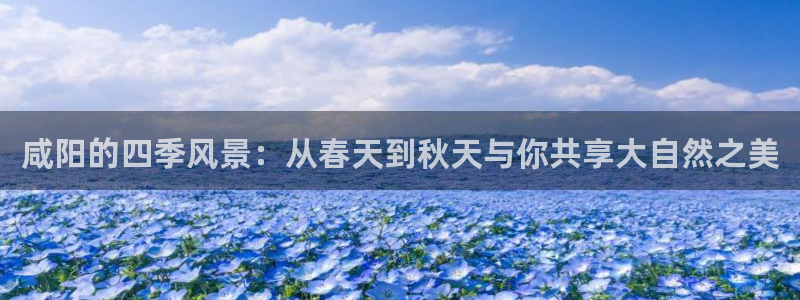 新宝gg创造奇迹