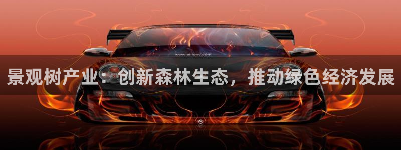 新宝gg   创造奇迹