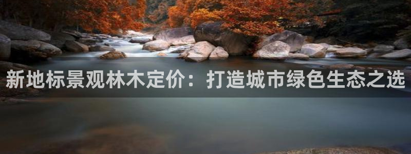 新宝gg为什么没人管