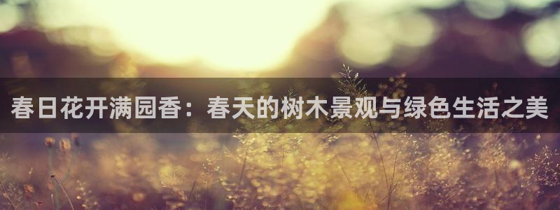 新宝 gg 下载