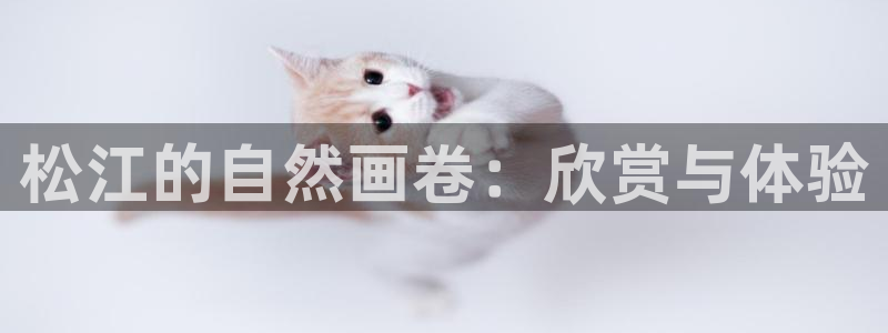 新宝GG桌面：松江的自然画卷：欣赏与体验