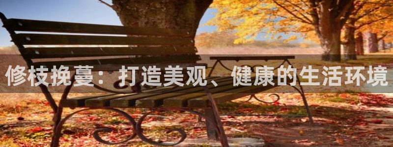 新宝一GG：修枝挽蔓：打造美观、健康的生活环境
