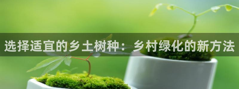 新宝gg代理