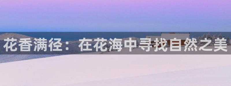 新宝gg咨询55312