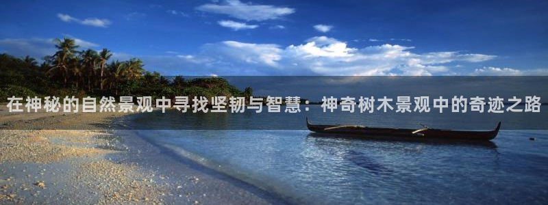 新宝gg娱乐注册全芏网：在神秘的自然景观中寻找坚韧与智慧：神奇树木景观中的奇迹之路