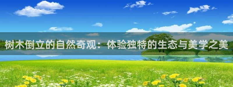 新宝娱乐gg