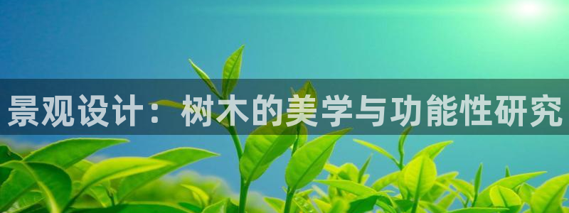 新宝 -gg登录:景观设计:树木的美学与功能性研究